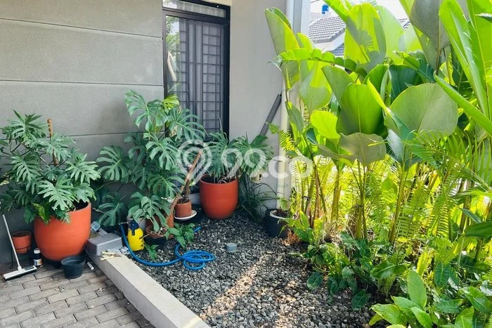 Rumah Luas Asri 2 KT Siap Pakai di Gunung Batu Bandung Rumah Luas Asri 2 KT Siap Pakai di Gunung Batu Bandung