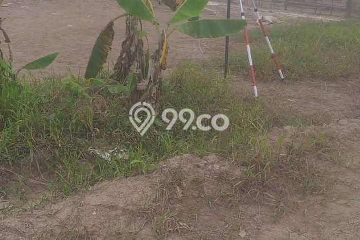 Kavling Tanah Dijual di Samarinda Utara Samarinda Spesifikasi 160m2 Kavling Tanah Dijual di Samarinda Utara Samarinda Spesifikasi 160m2