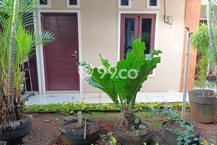 Untuk Disewa Kost di Kawasan Favorit Pasar Minggu Bisa Survei Dulu Untuk Disewa Kost di Kawasan Favorit Pasar Minggu Bisa Survei Dulu