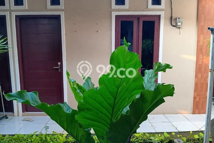 Untuk Disewa Kost di Kawasan Favorit Pasar Minggu Bisa Survei Dulu Untuk Disewa Kost di Kawasan Favorit Pasar Minggu Bisa Survei Dulu