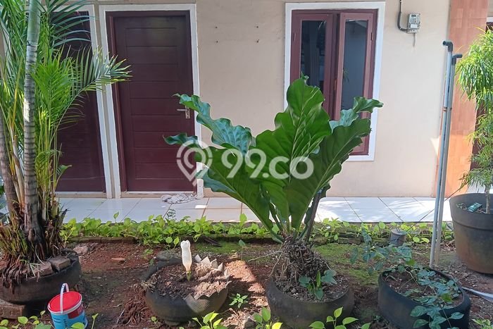 Untuk Disewa Kost di Kawasan Favorit Pasar Minggu Bisa Survei Dulu Untuk Disewa Kost di Kawasan Favorit Pasar Minggu Bisa Survei Dulu