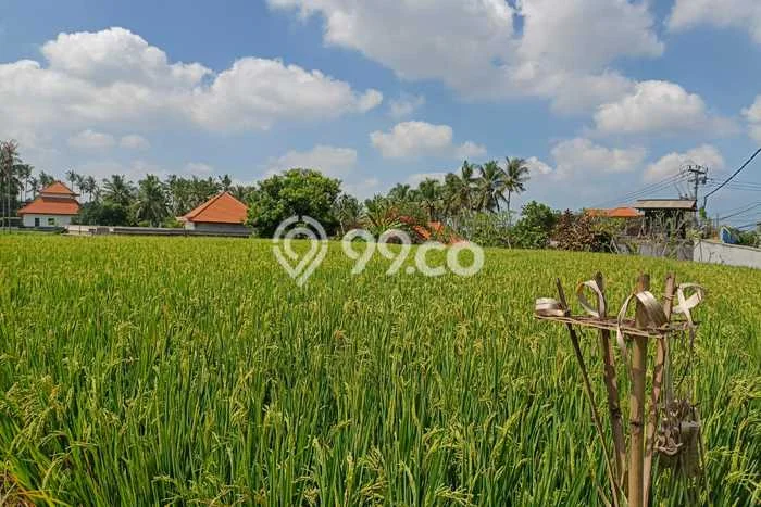 Tanah Kavling untuk Dijual di Kerambitan Tabanan 600m2 Tanah Kavling untuk Dijual di Kerambitan Tabanan 600m2