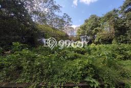 Lahan untuk Dijual Lokasi Marga, Tabanan Luas 1300m2 SHM Lahan untuk Dijual Lokasi Marga, Tabanan Luas 1300m2 SHM