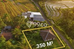 Tanah di Buleleng, Buleleng Luas 350m2 Dijual Segera Tanah di Buleleng, Buleleng Luas 350m2 Dijual Segera