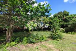 Tanah Dijual di Badung Seluas 400m2 Strategis Tanah Dijual di Badung Seluas 400m2 Strategis