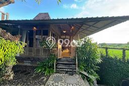 Disewakan! Rumah 2 Kamar Tidur &
3 Kamar Mandi di Bongan, Tabanan Disewakan! Rumah 2 Kamar Tidur &
3 Kamar Mandi di Bongan, Tabanan