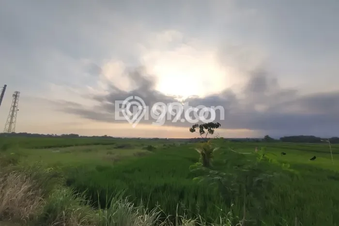 Untuk Dijual Tanah di Tabanan, Luas 1975m2 SHM Untuk Dijual Tanah di Tabanan, Luas 1975m2 SHM