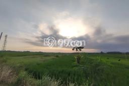 Untuk Dijual Tanah di Tabanan, Luas 1975m2 SHM Untuk Dijual Tanah di Tabanan, Luas 1975m2 SHM