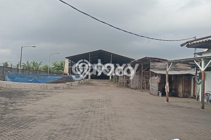 Gudang Bagus LT 8000m2 LB 4000m2 Dijual di Jabon Sidoarjo Gudang Bagus LT 8000m2 LB 4000m2 Dijual di Jabon Sidoarjo