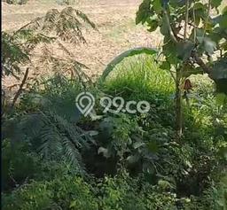Tanah di Jatirejo, Mojokerto Luas 10335m2 Dijual Segera Tanah di Jatirejo, Mojokerto Luas 10335m2 Dijual Segera