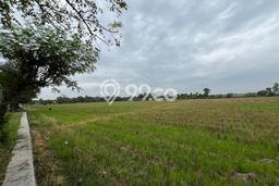 Tanah Kavling untuk Dijual di Bangodua Indramayu 26456m2 Tanah Kavling untuk Dijual di Bangodua Indramayu 26456m2