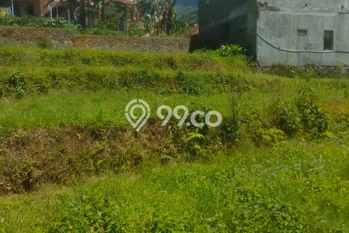 Tanah Kavling untuk Dijual di Kuningan Kuningan 850m2 Tanah Kavling untuk Dijual di Kuningan Kuningan 850m2