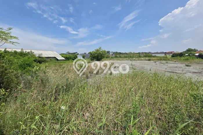 Kavling Tanah Dijual di Tegal Barat Tegal Spesifikasi 5200m2 Kavling Tanah Dijual di Tegal Barat Tegal Spesifikasi 5200m2