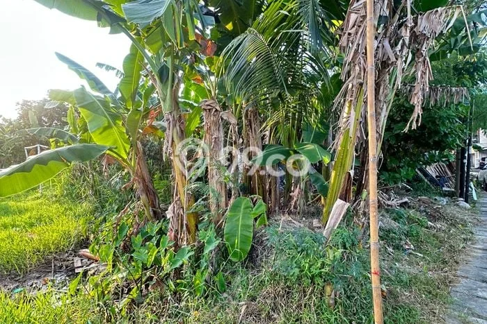 Tanah Kawasan Pondok Aren, Luas 1000m2m², Area Berkembang Tanah Kawasan Pondok Aren, Luas 1000m2m², Area Berkembang