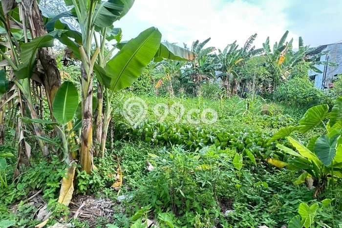 Tanah Kawasan Pondok Aren, Luas 1000m2m², Area Berkembang Tanah Kawasan Pondok Aren, Luas 1000m2m², Area Berkembang