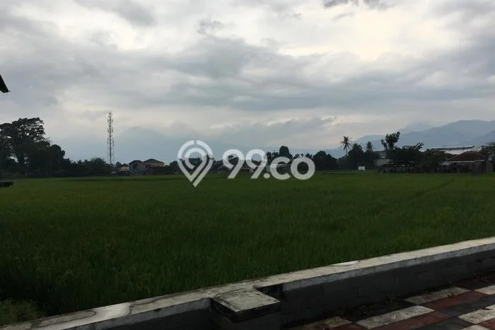 Kavling Tanah di Soreang Dijual Luas 15565m2 Legalitas SHM Kavling Tanah di Soreang Dijual Luas 15565m2 Legalitas SHM