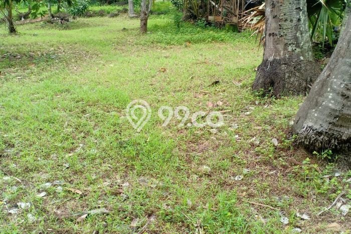 Untuk Dijual Tanah di Buleleng Buleleng Luas 9400m2 SHM Untuk Dijual Tanah di Buleleng Buleleng Luas 9400m2 SHM