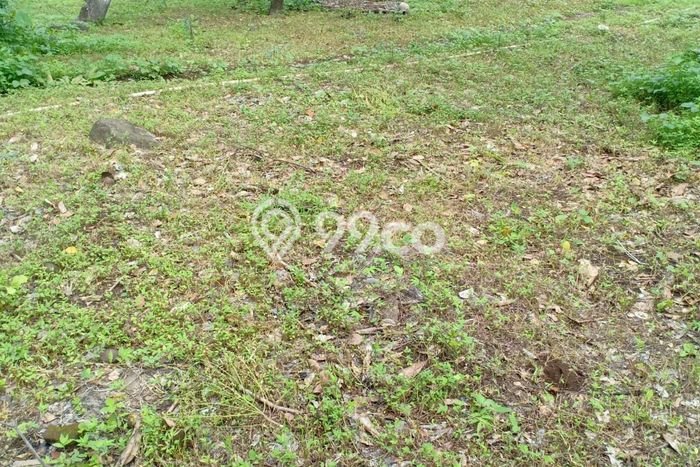 Untuk Dijual Tanah di Buleleng Buleleng Luas 9400m2 SHM Untuk Dijual Tanah di Buleleng Buleleng Luas 9400m2 SHM