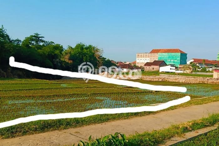 Tanah Kosong Dijual di Karanganyar dengan Area 1200m2 Tanah Kosong Dijual di Karanganyar dengan Area 1200m2