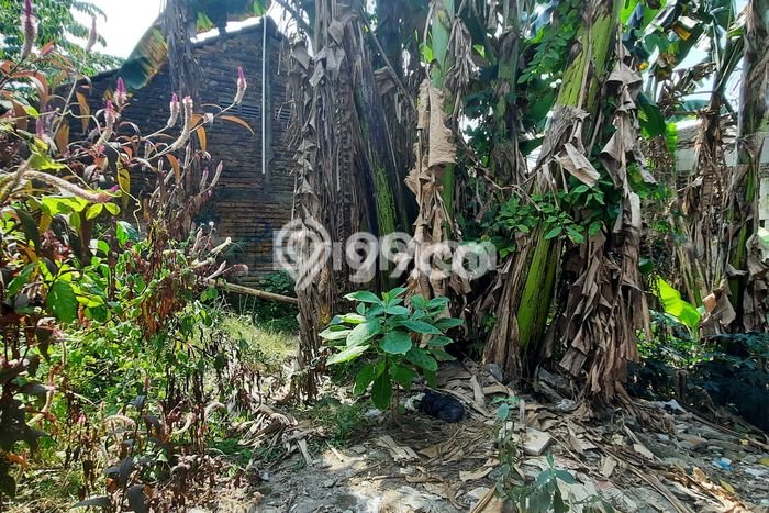 Tanah untuk Dijual di Pasar Kliwon Solo Luas 322m2 Tanah untuk Dijual di Pasar Kliwon Solo Luas 322m2