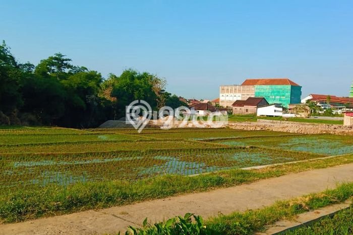 Tanah Kosong Dijual di Karanganyar dengan Area 1200m2 Tanah Kosong Dijual di Karanganyar dengan Area 1200m2