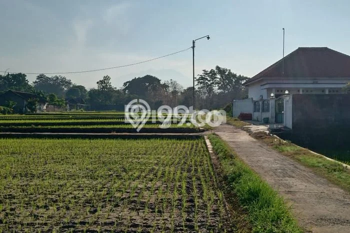 Tanah Kosong Dijual di Karanganyar dengan Area 1200m2 Tanah Kosong Dijual di Karanganyar dengan Area 1200m2