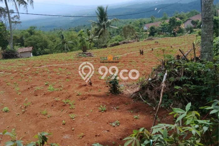 Lahan Kosong Dijual di Sukabumi dengan Area 50000m2 Lahan Kosong Dijual di Sukabumi dengan Area 50000m2