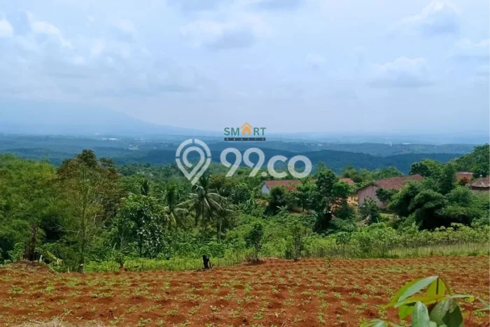 Lahan Kosong Dijual di Sukabumi dengan Area 50000m2 Lahan Kosong Dijual di Sukabumi dengan Area 50000m2