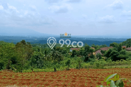 Lahan Kosong Dijual di Sukabumi dengan Area 50000m2 Lahan Kosong Dijual di Sukabumi dengan Area 50000m2