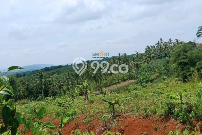 Lahan Kosong Dijual di Sukabumi dengan Area 50000m2 Lahan Kosong Dijual di Sukabumi dengan Area 50000m2