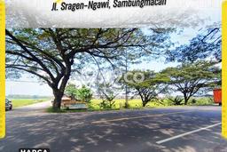 Kavling Tanah untuk Dijual di Sambungmacan, Sragen, Luas 7975m2 Kavling Tanah untuk Dijual di Sambungmacan, Sragen, Luas 7975m2