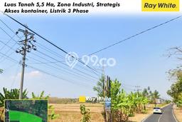 Jarang Ada! Tanah di Pedan Punya Luas 55000m2 - Jarang Ada! Tanah di Pedan Punya Luas 55000m2 -