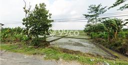 Kavling Tanah untuk Dijual di Sambungmacan, Sragen, Luas 95000m2 Kavling Tanah untuk Dijual di Sambungmacan, Sragen, Luas 95000m2
