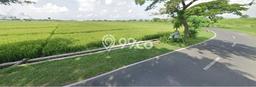 Lahan Investasi Lokasi Sidoharjo Sragen SHM Lahan Investasi Lokasi Sidoharjo Sragen SHM