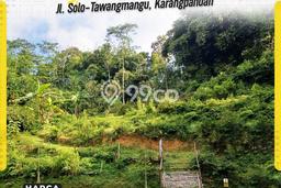 Kavling Tanah Dijual di Karangpandan, Karanganyar, Luas 2806m2 Area Strategis Kavling Tanah Dijual di Karangpandan, Karanganyar, Luas 2806m2 Area Strategis