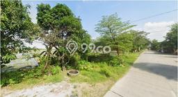 Tanah Dijual di Sragen Seluas 50000m2 Strategis Tanah Dijual di Sragen Seluas 50000m2 Strategis