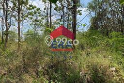 Tanah Dijual Lokasi Tuban, Tuban Luas 6190m2 Legalitas Aman Tanah Dijual Lokasi Tuban, Tuban Luas 6190m2 Legalitas Aman