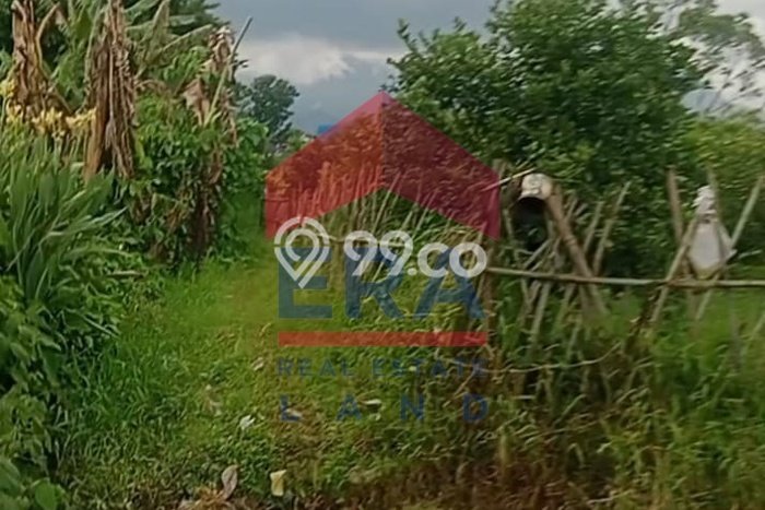 Tanah Dijual Lokasi Junrejo, Batu Luas 1500m2 Legalitas Aman Tanah Dijual Lokasi Junrejo, Batu Luas 1500m2 Legalitas Aman