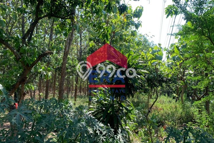 Kavling Tanah di Tuban Dijual Luas 276m2 Legalitas SHM Kavling Tanah di Tuban Dijual Luas 276m2 Legalitas SHM