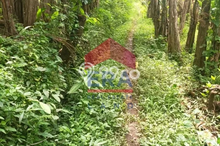 Kavling Tanah Dijual di Dau Malang Spesifikasi 343m2 Kavling Tanah Dijual di Dau Malang Spesifikasi 343m2