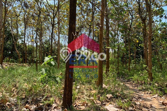 Dijual Tanah di Tuban Tuban Luas 18300m2 SHM Dijual Tanah di Tuban Tuban Luas 18300m2 SHM