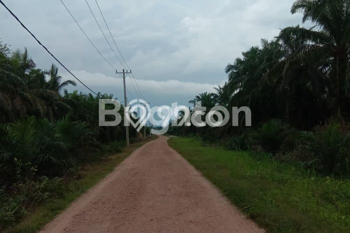 Lahan untuk Dijual di Rantau Selatan Labuhan Batu Luas 3e+06m2 Lahan untuk Dijual di Rantau Selatan Labuhan Batu Luas 3e+06m2
