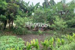 Kavling Tanah Dijual di Medan Sunggal, Medan, Luas 686m2 Area Strategis Kavling Tanah Dijual di Medan Sunggal, Medan, Luas 686m2 Area Strategis