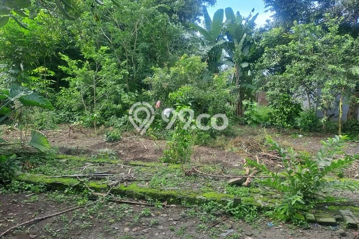 Untuk Dijual Tanah di Ngaglik Sleman Luas 331m2 SHM Untuk Dijual Tanah di Ngaglik Sleman Luas 331m2 SHM