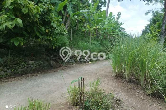 Tanah Kosong Dijual di Kulon Progo dengan Area 1370m2 Tanah Kosong Dijual di Kulon Progo dengan Area 1370m2