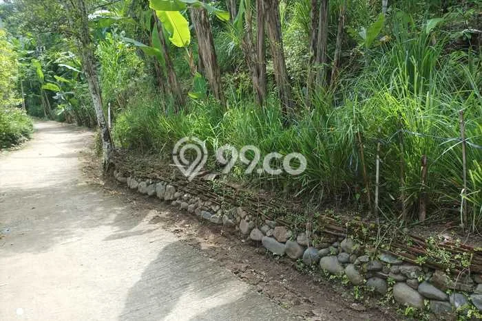 Tanah Kosong Dijual di Kulon Progo dengan Area 1370m2 Tanah Kosong Dijual di Kulon Progo dengan Area 1370m2