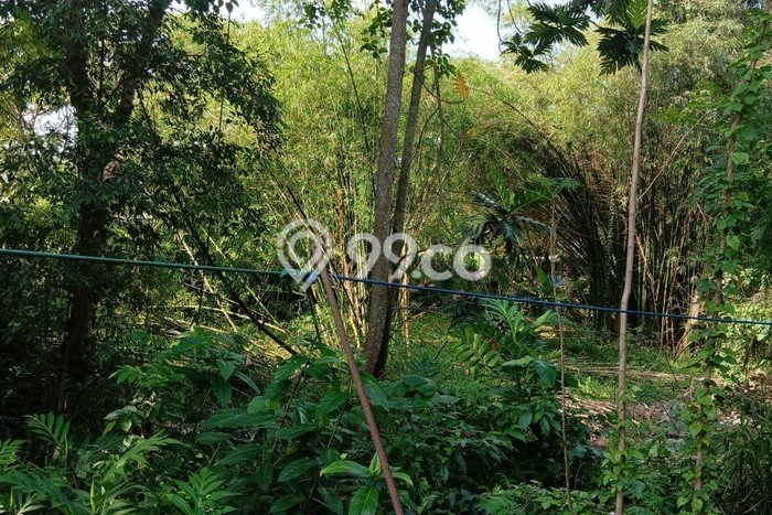 Tanah Kavling Dijual di Yogyakarta dengan Spesifikasi 2650m2 Tanah Kavling Dijual di Yogyakarta dengan Spesifikasi 2650m2