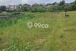 Tanah Dijual Lokasi Sewon, Bantul dengan Luas Tanah 258m2 dan Status SHM Tanah Dijual Lokasi Sewon, Bantul dengan Luas Tanah 258m2 dan Status SHM