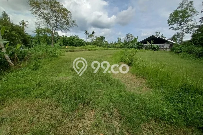 Tanah di Ngemplak, Sleman Luas 1005m2 Dijual Segera Tanah di Ngemplak, Sleman Luas 1005m2 Dijual Segera
