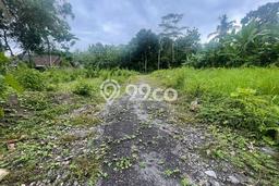 Kavling Tanah Dijual di Gamping Sleman Spesifikasi 1529m2 Kavling Tanah Dijual di Gamping Sleman Spesifikasi 1529m2